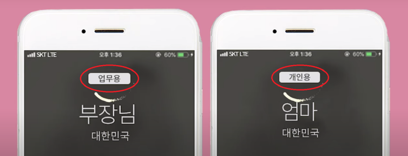 듀얼번호