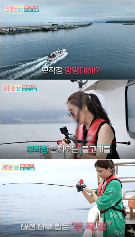 원하는대로 이미지