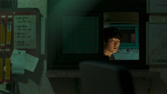 더쿱디스트리뷰션 이미지