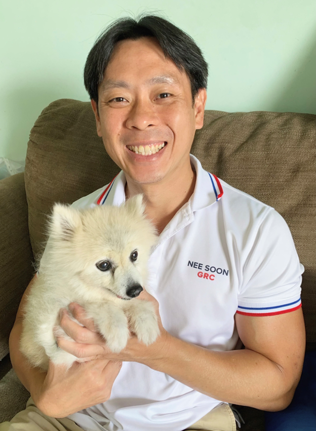 동네고양이 이미지