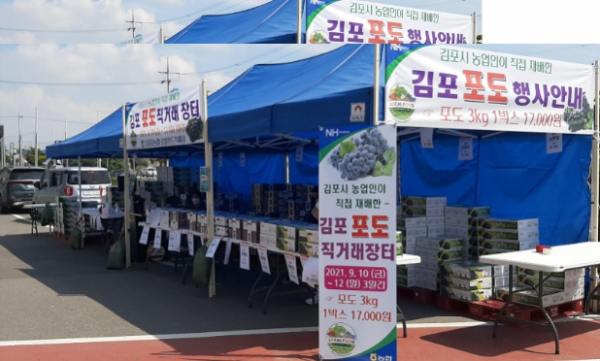 석모1호 이미지