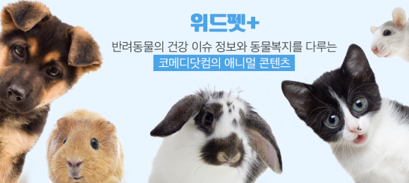 위드펫 이미지