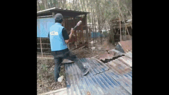 불법개농장을 부수고 그 자리에 동공당 동물입양센터가 세워지는 과정. 제보자 제공