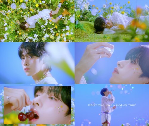 시온이네 이미지