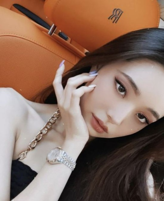 프리지아 이미지