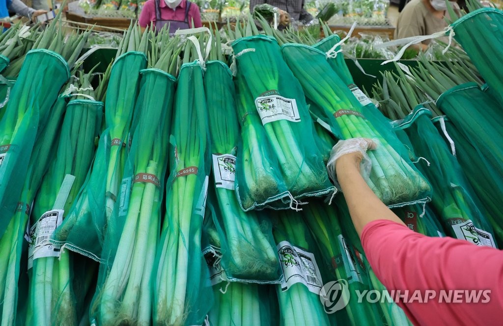 대파상회 이미지