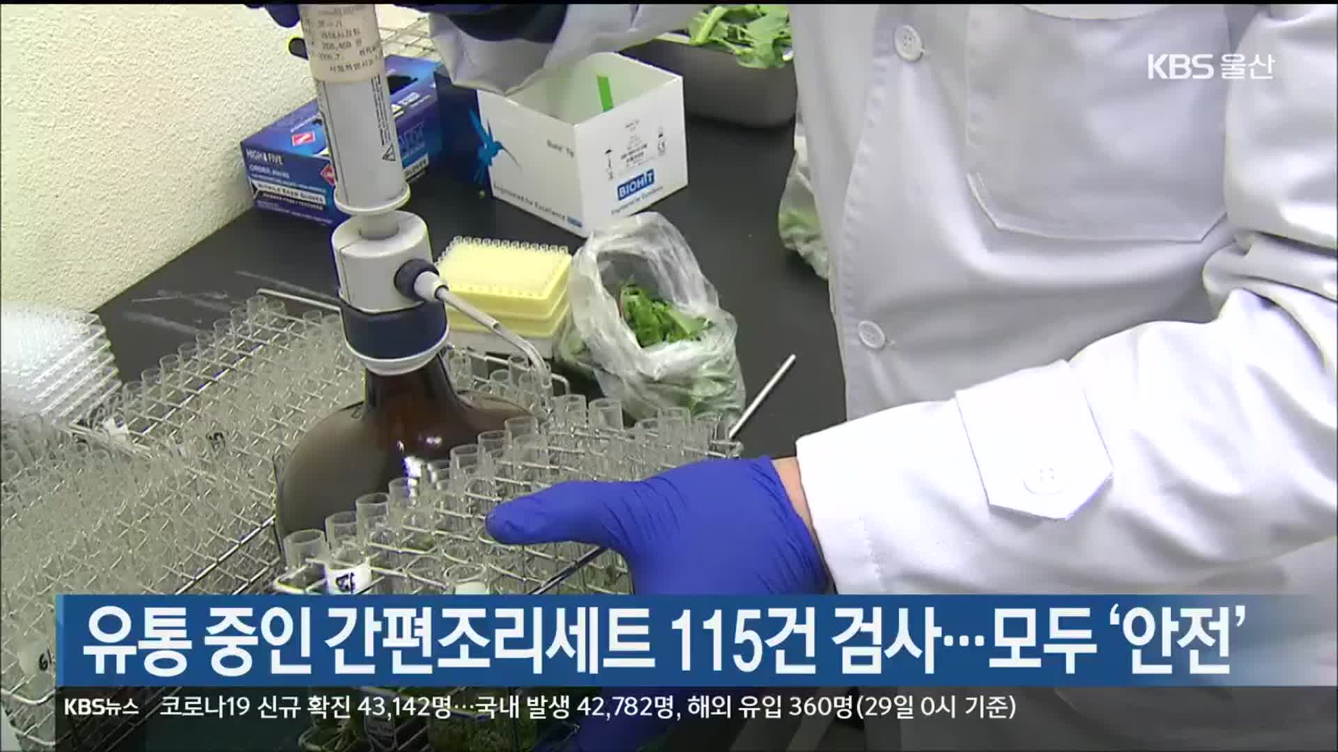 울산에서 유통 중인 간편조리세트 115건 검사..모두 '안전'