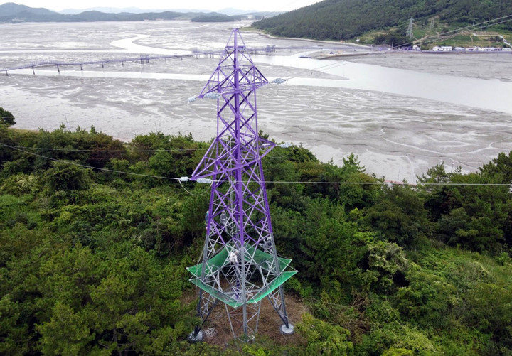 보라색 이미지