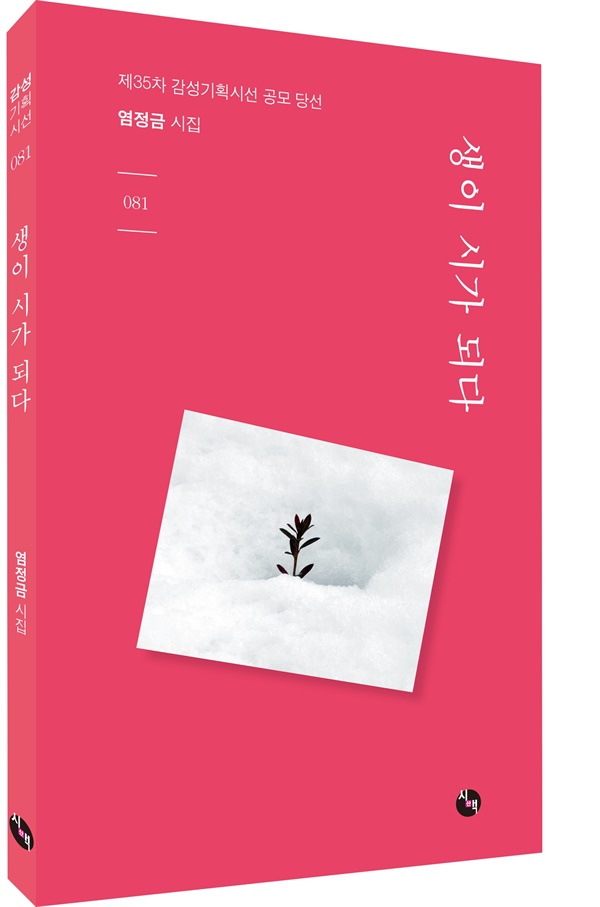 시맥 이미지