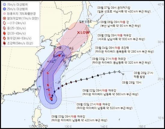 장터11호 이미지