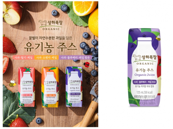 꿀벌과자연 이미지