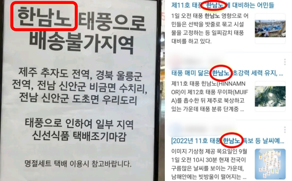 태풍마트 이미지