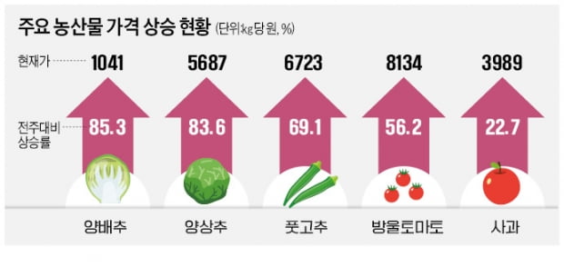 한경이네 농산물 이미지