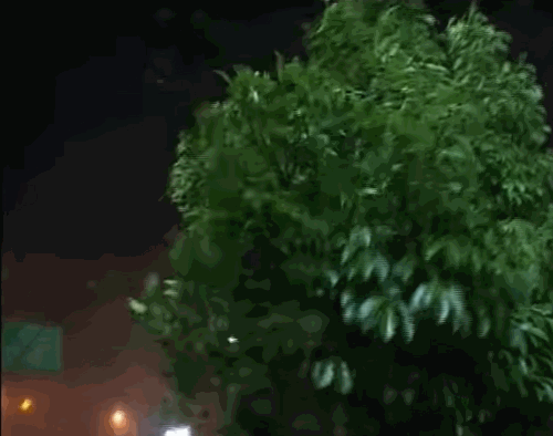 2003년 9월 태풍 '매미'가 상륙할 당시 영상/사진=유튜브 'geoffmackley'