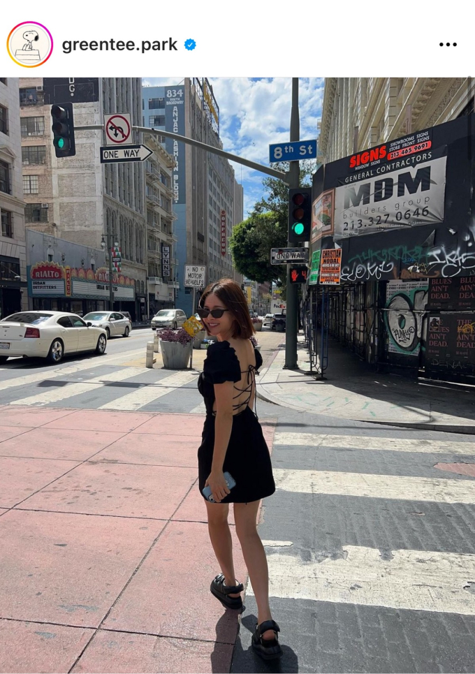 아이비 이미지