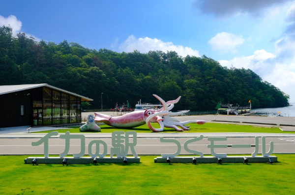 국제오징어 이미지