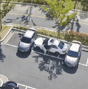 경찰을 기다렸다가 맞이하는 벤츠 차주. / 자료출처=온라인 커뮤니티 캡처