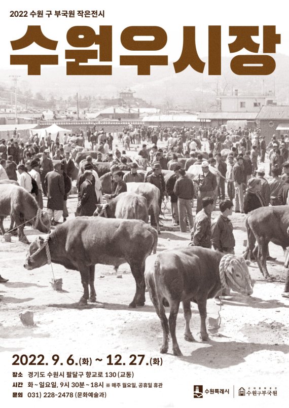 우시장 이미지
