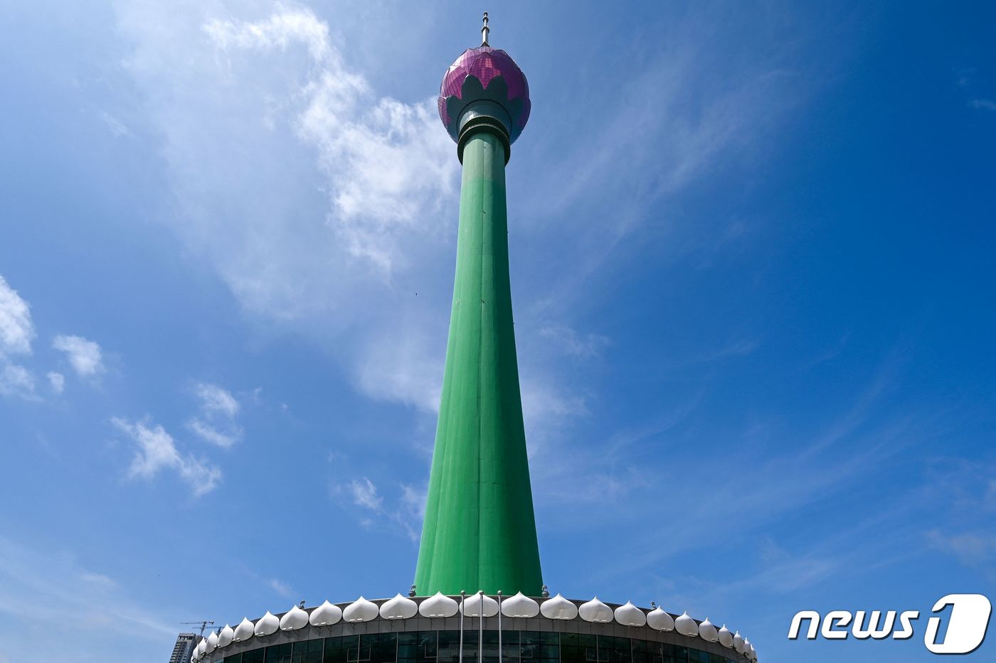코끼리관광주 이미지