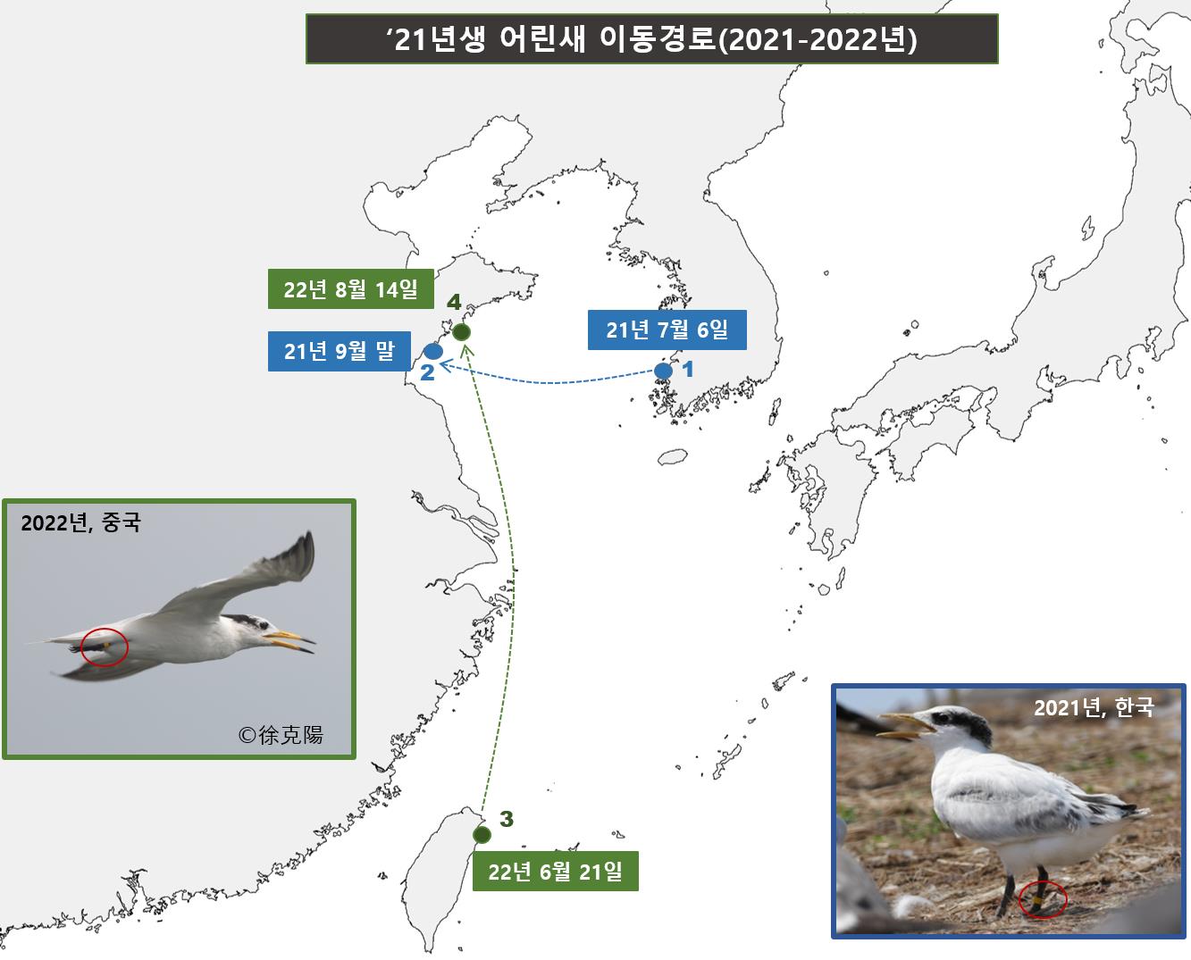 갈매기나라 이미지