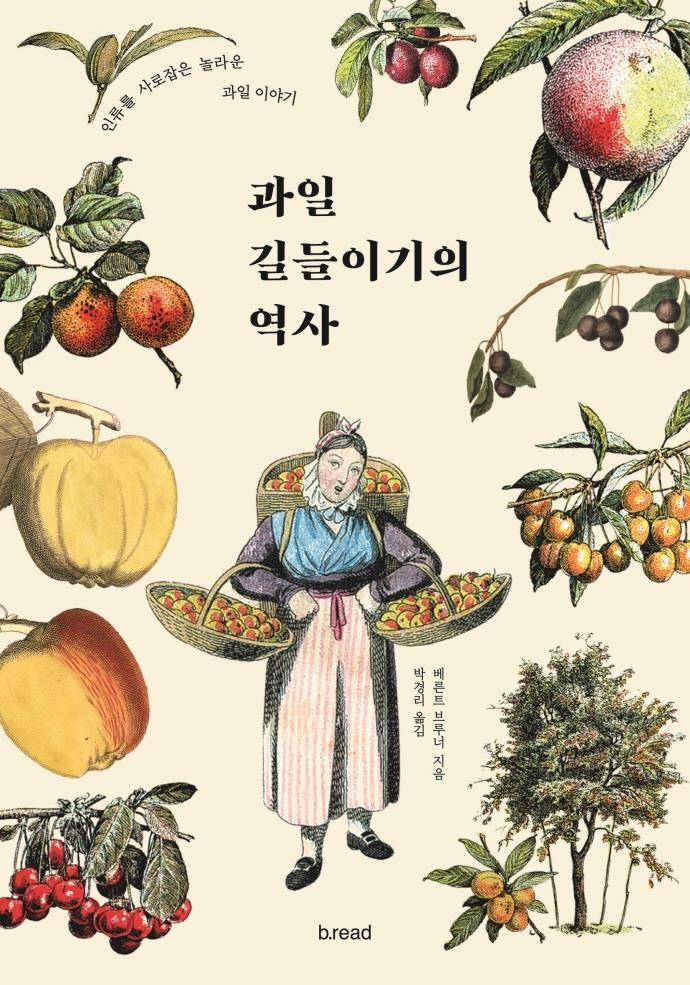 더달콤한과일 이미지
