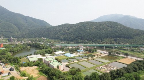 대한교육연구소 이미지