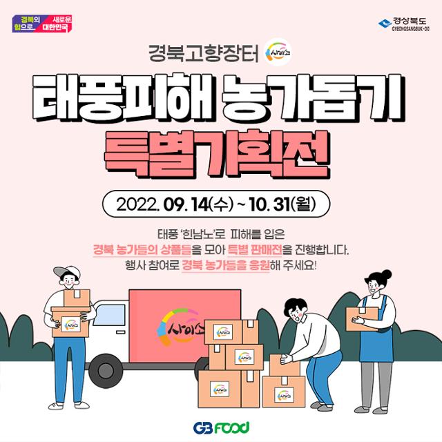 장터11호 이미지