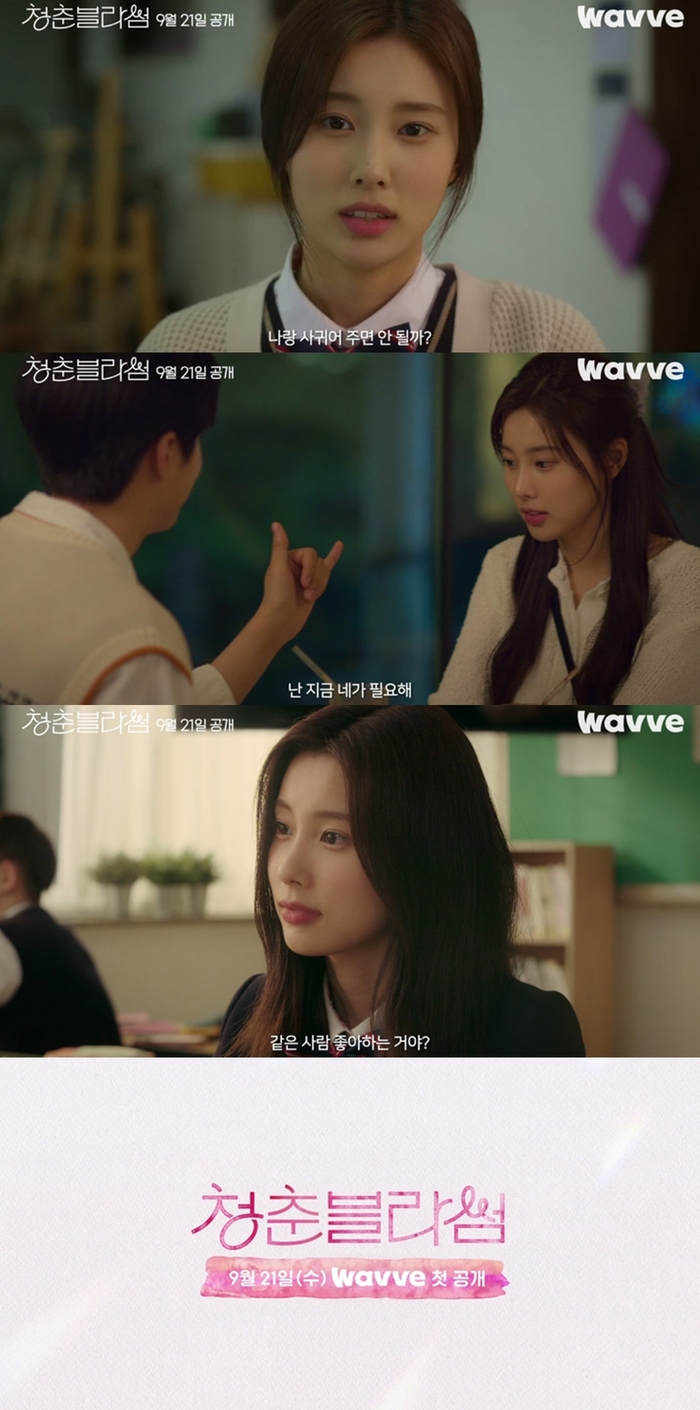 블라썸 이미지
