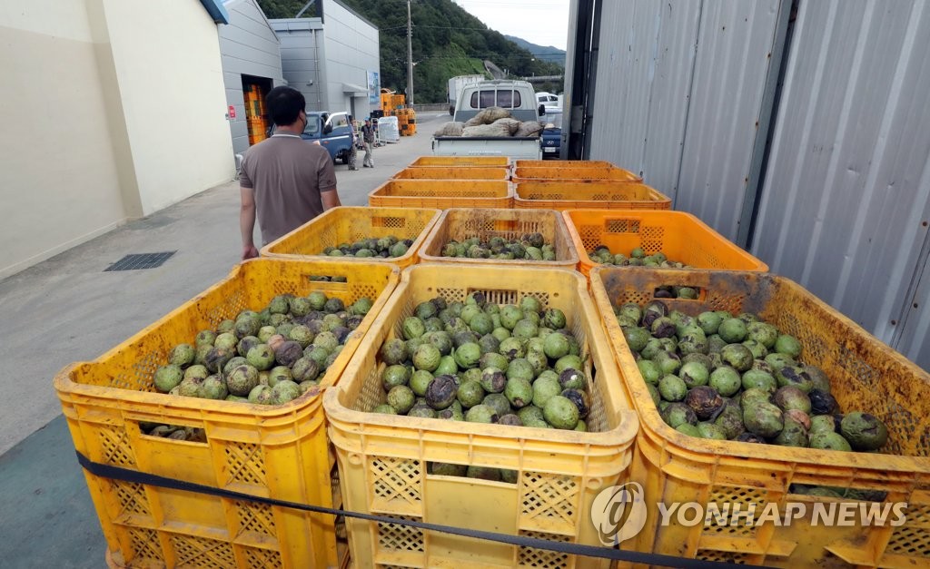 황간농협 상촌지점 이미지