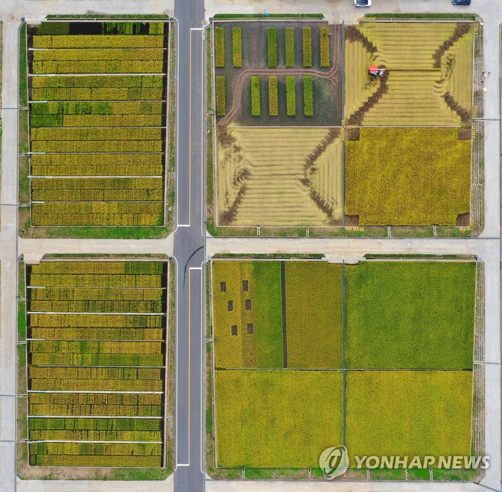 작품이 된 논