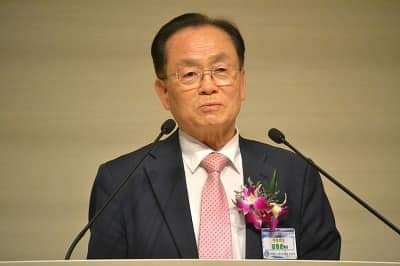 종려나무 사진 2