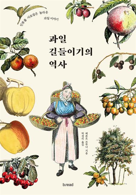 과일동산 이미지