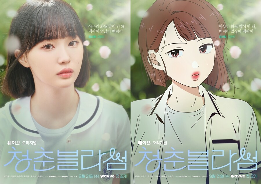 블라썸 이미지