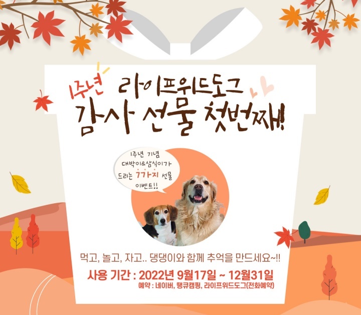 라이프위드도그 이미지
