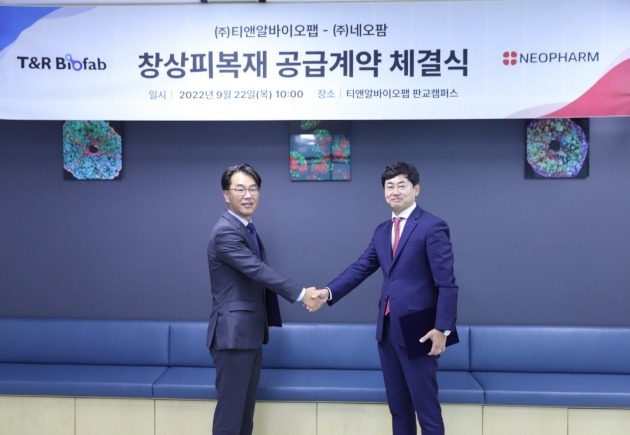 티앤알 이미지