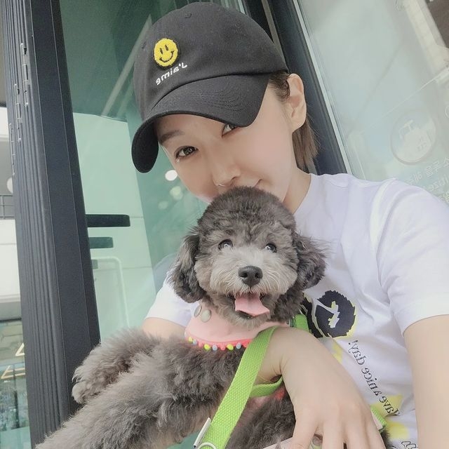 한영 이미지