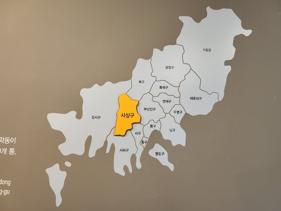 황소꼬리 대표 사진