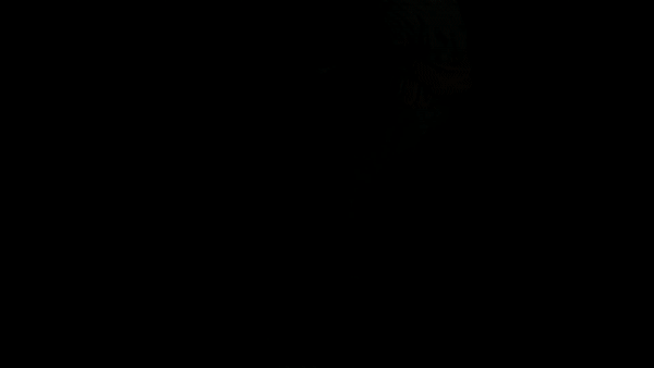 영상=리니지W 홈페이지