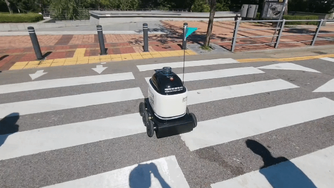 차가 오지 않자 딜리는 거침없이 횡단보도를 달렸다. 나상현 기자