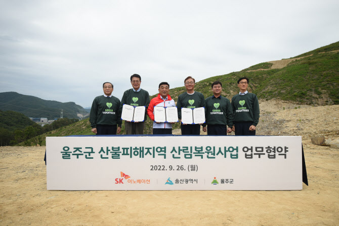 나무이노베이션 이미지