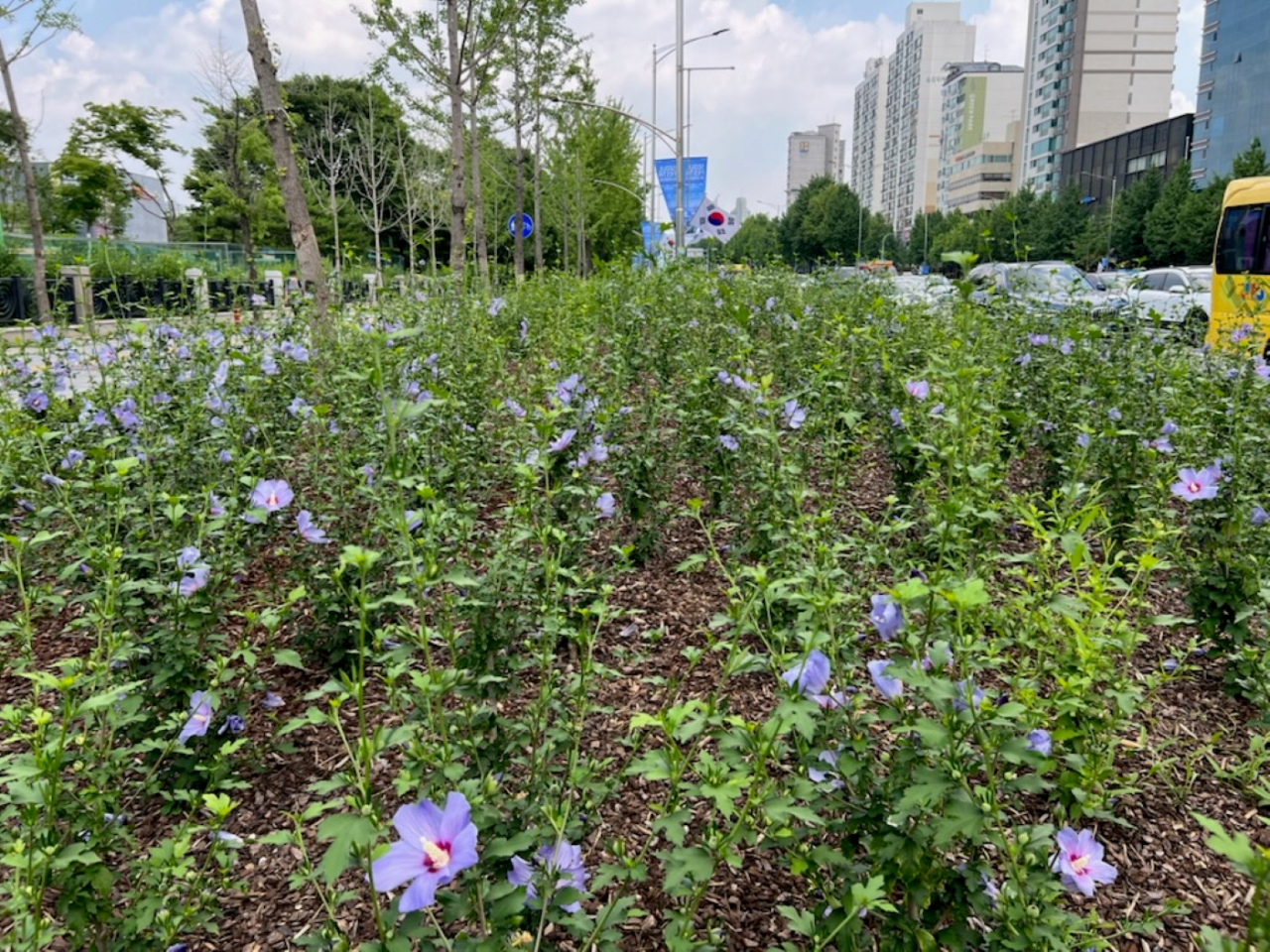 동산 이미지