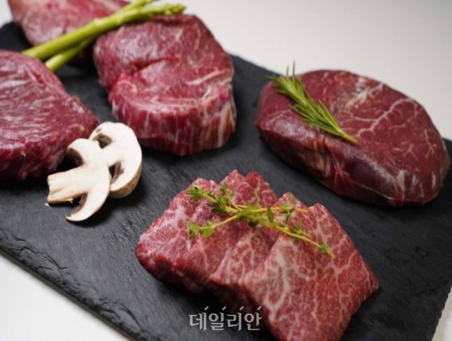 한우연 이미지