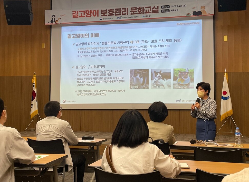 동네고양이 이미지