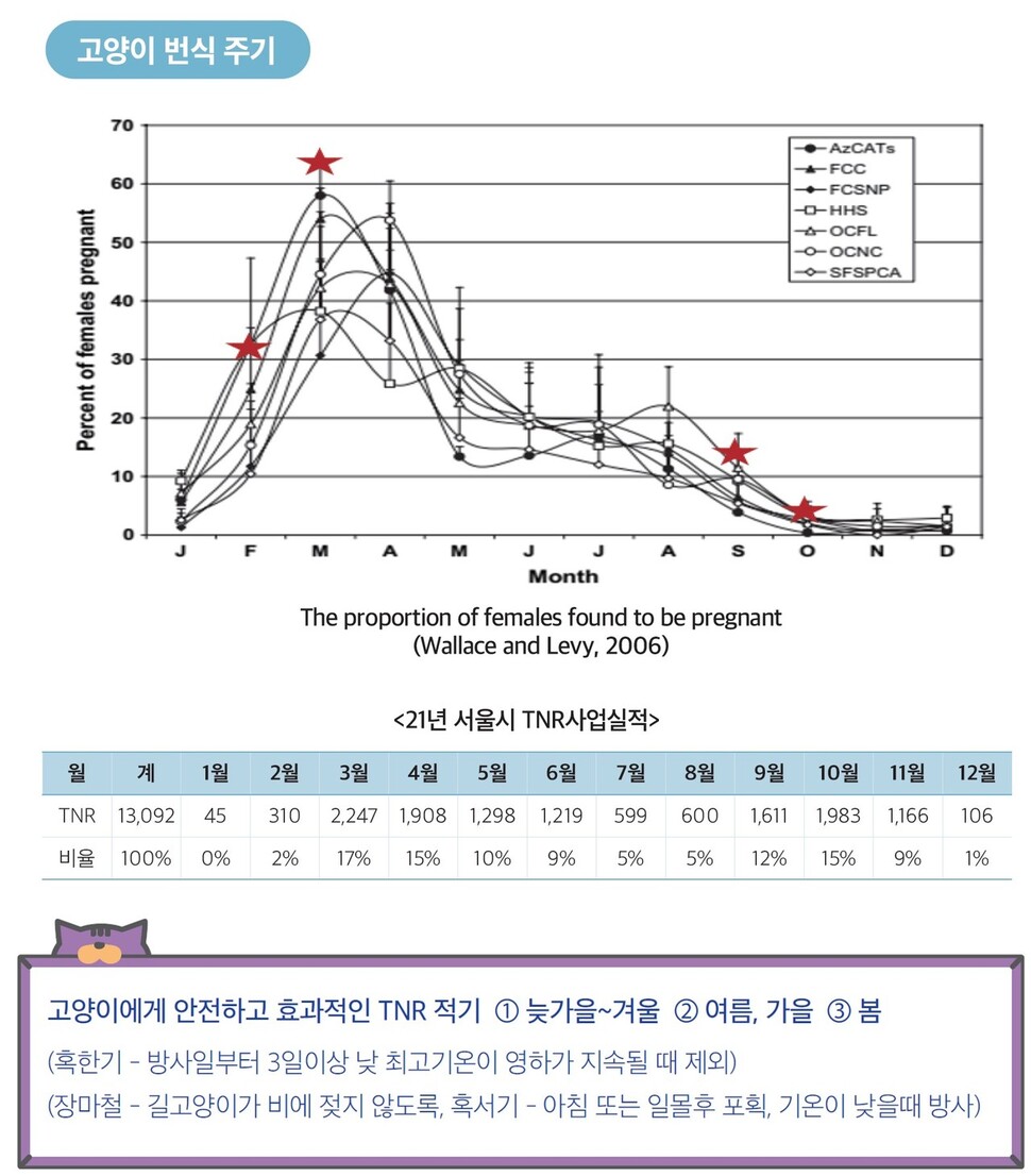 동네고양이 이미지