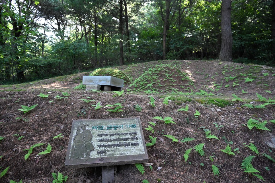 금봉노래 이미지