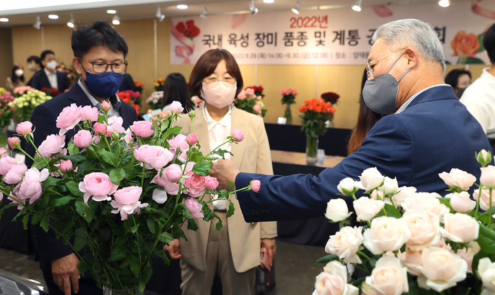 장미공판장 이미지