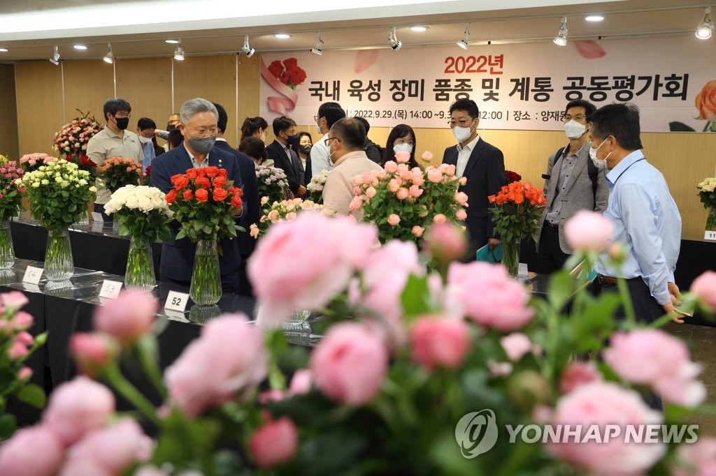장미공판장 이미지