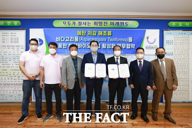 (주)씨위드 이미지