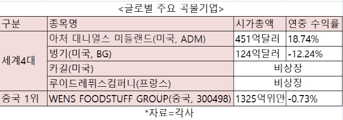 글로벌주 이미지