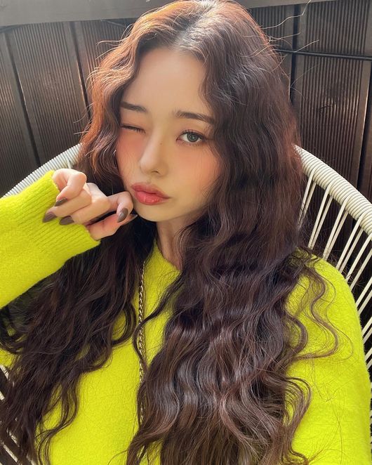 프리지아 이미지